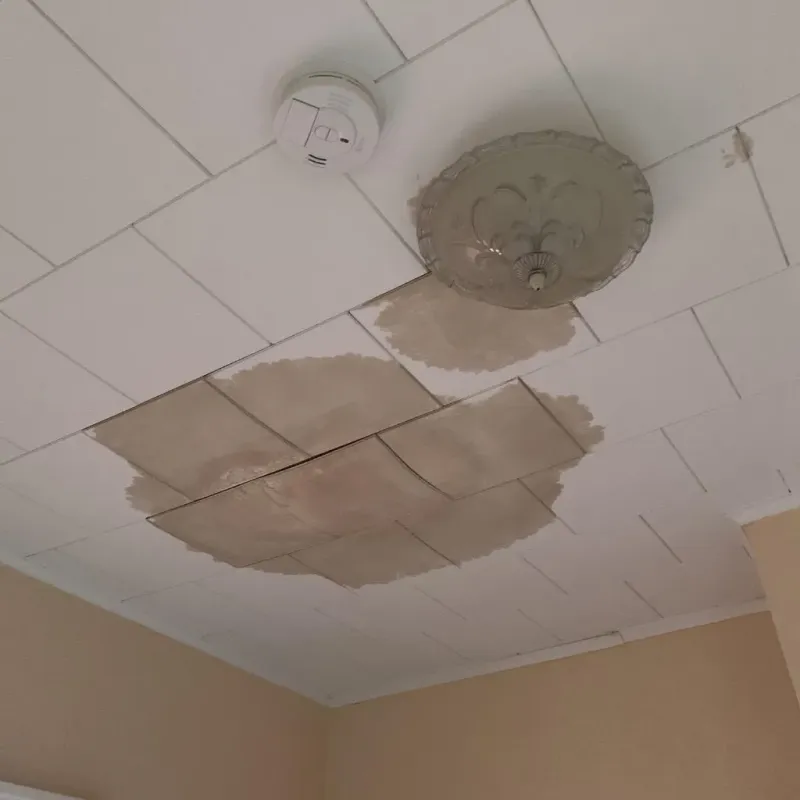 Ceiling Water Damage Repair in Mapleton, MN