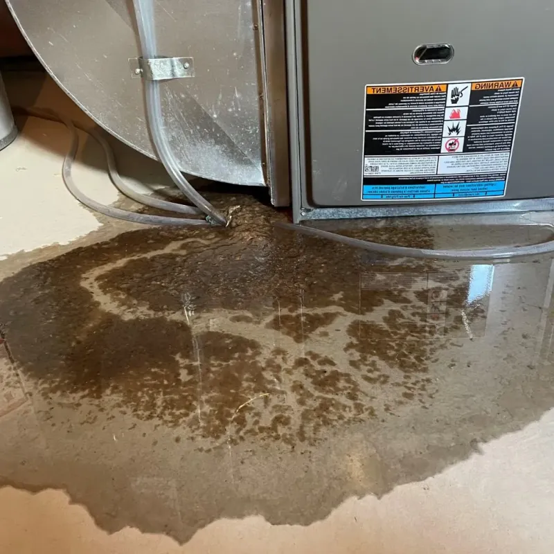 Pipe Burst and Leak Restoration in Mapleton, MN