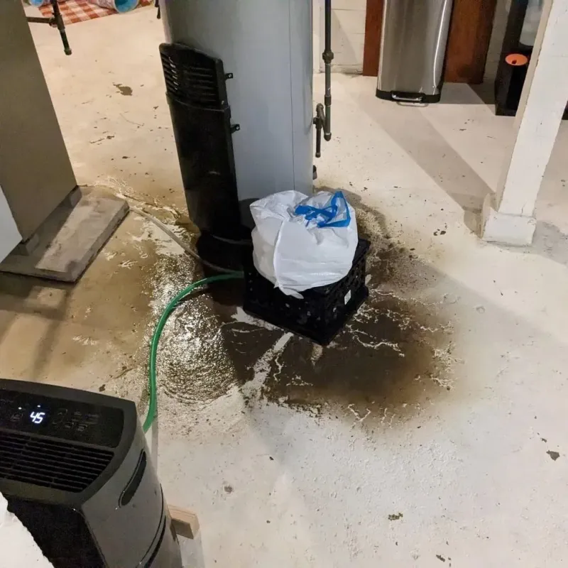 Sewage Backup Cleanup Service in Mapleton, MN